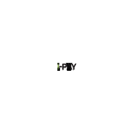 i-pay test